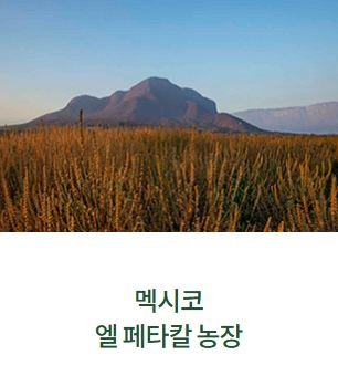 Nutrilite Farm